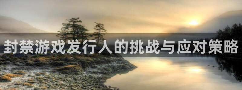 新宝GG官网注册平台登录不上：封禁游戏发行人的挑战与应对策略