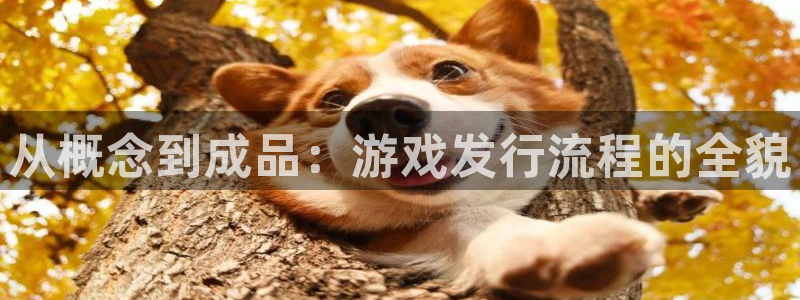 深圳市新宝GG科技有限招聘公司：从概念到成品：游戏发行流程的全貌