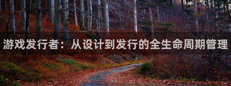 新宝GG子传媒集团ceo：游戏发行者：从设计到发行的全生命周期管理