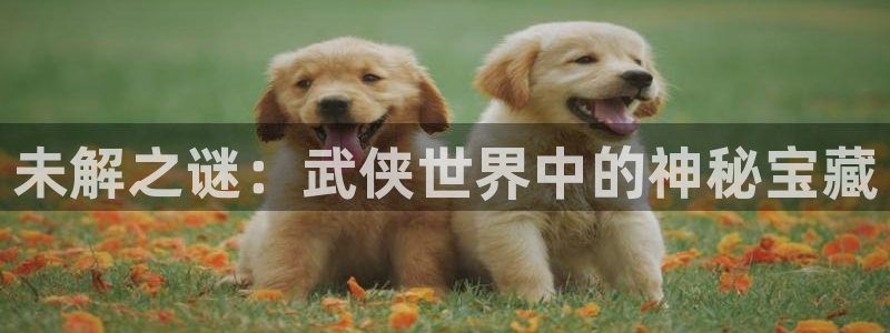 陕西新宝GG子文化公司有什么游戏：未解之谜：武侠世界中的神秘宝藏