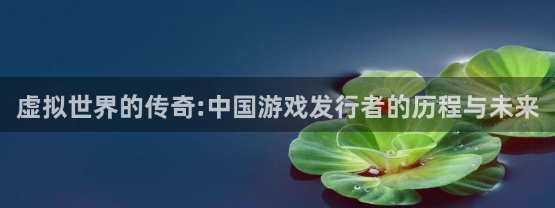 江苏新宝GG智得：虚拟世界的传奇:中国游戏发行者的历程与未来