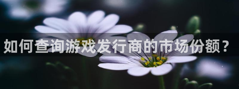 新宝GG工坊：如何查询游戏发行商的市场份额？