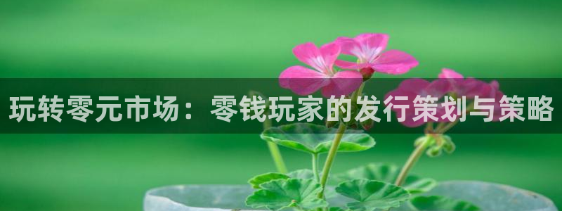 深圳市新宝GG科技有限招聘公司：玩转零元市场：零钱玩家的发行策划与策略