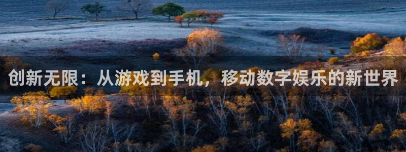 新宝GG官网登录注册账号是什么意思：创新无限：从游戏到手机，移动数字娱乐的新世界