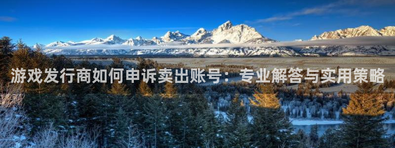 新宝GG电商怎么样可靠吗：游戏发行商如何申诉卖出账号：专业解答与实用策略